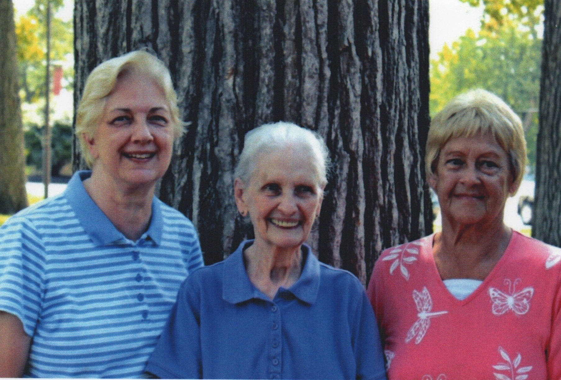 Louise Watts, Shirley Ponceby, Linda Columber - 2014