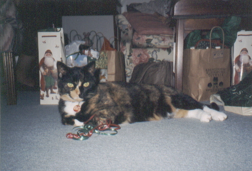 Our Annie Patch
