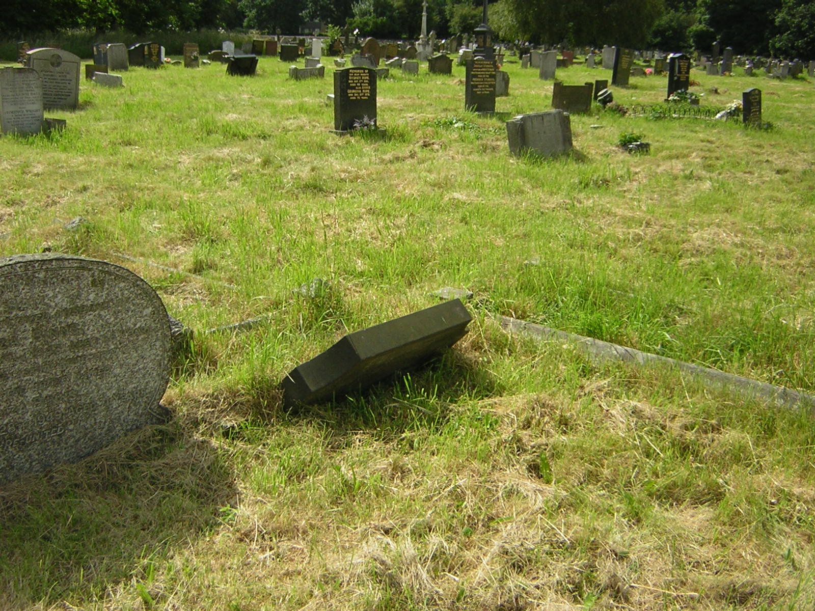 Samuel Young's (Died 1943) Gravestone from Craig Mollekin