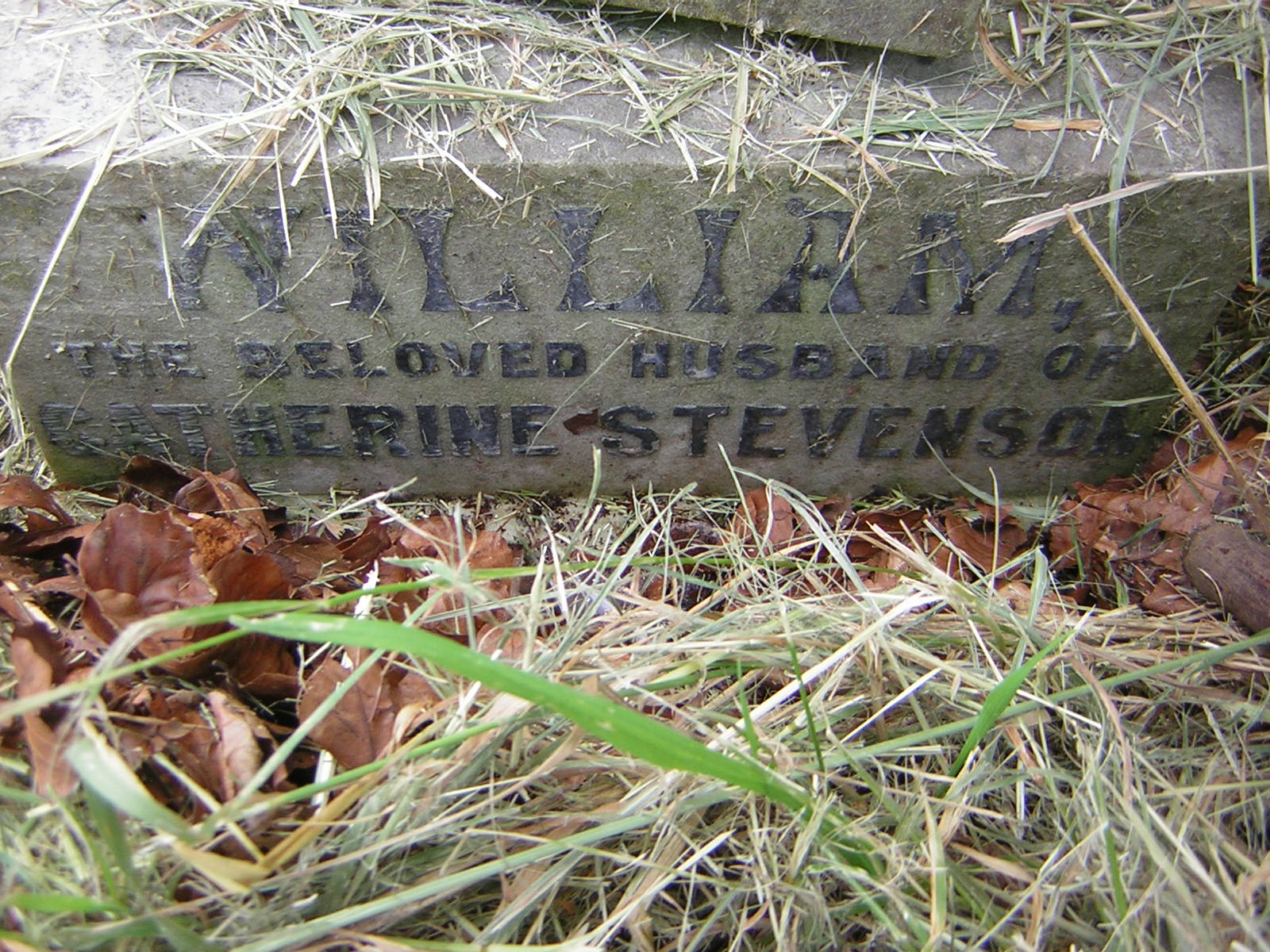 William Stevenson's Gravestone from Craig Mollekin