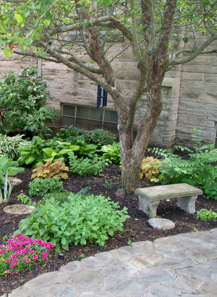 garden_tree_bench_stones
