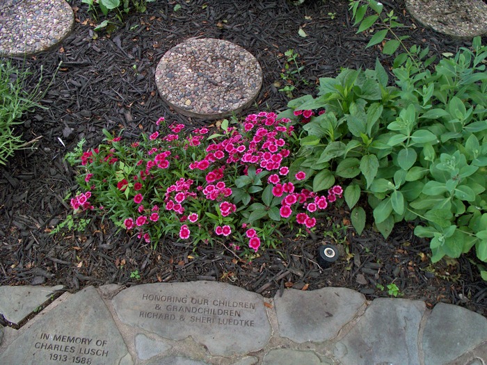 red_flowers
