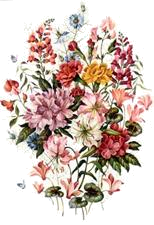 Flowers - ClickArt
